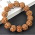Чотки - браслет з Рудракші 14 намистин