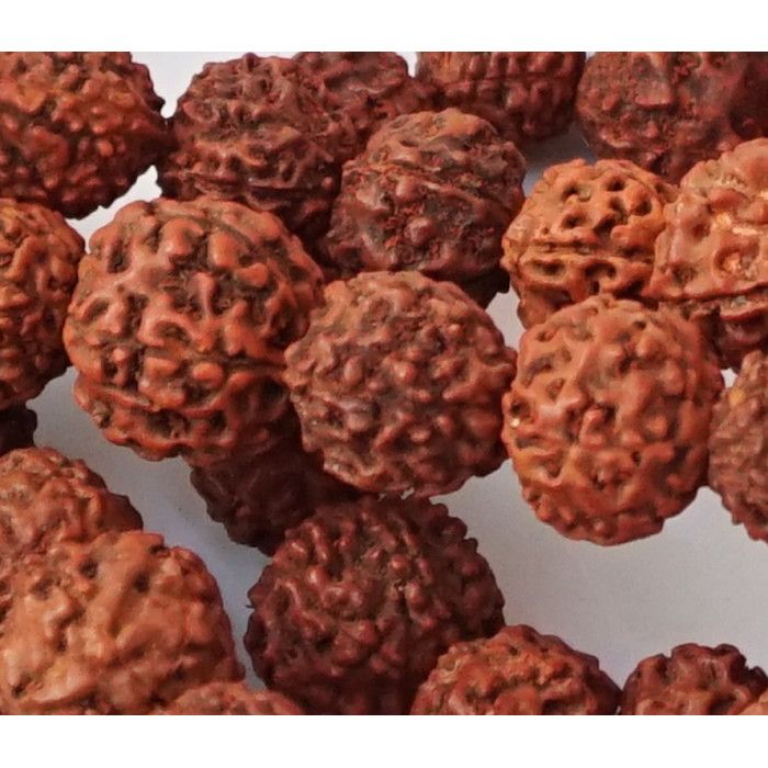 Чотки з Рудракші фарбовані 18 мм. 108 намистин